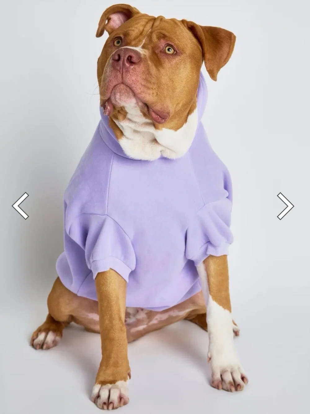 Cozy Lilac Dog Hoodie – Soft Pullover Pet Sweatshirt